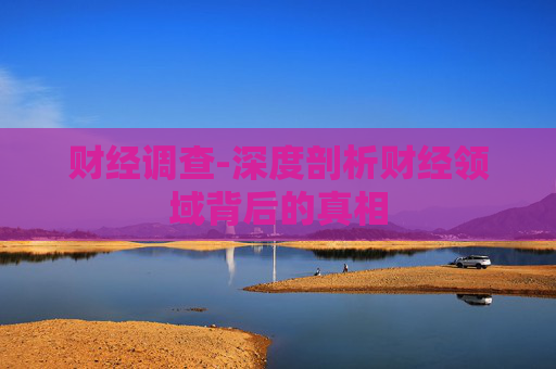 财经调查-深度剖析财经领域背后的真相