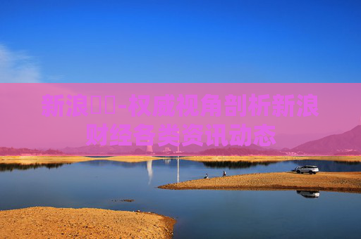 新浪財經-权威视角剖析新浪财经各类资讯动态