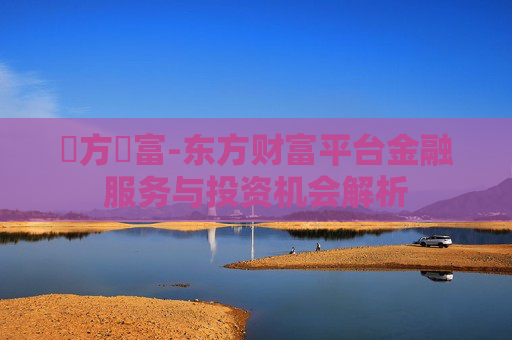 東方財富-东方财富平台金融服务与投资机会解析
