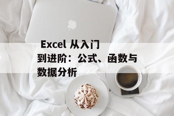  Excel 从入门到进阶：公式、函数与数据分析