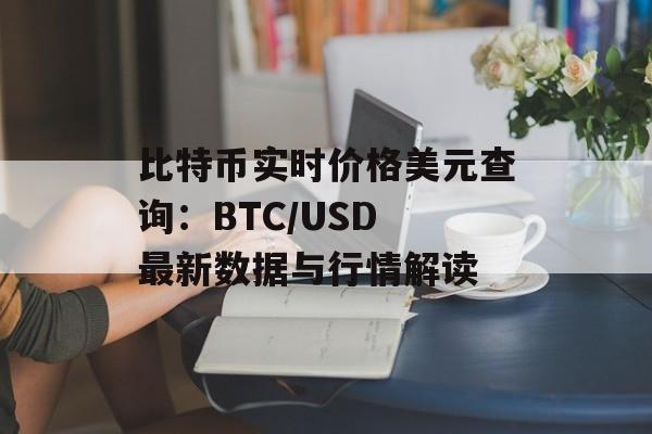 比特币实时价格美元查询：BTC/USD 最新数据与行情解读