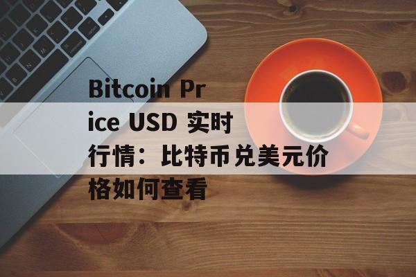 Bitcoin Price USD 实时行情：比特币兑美元价格如何查看