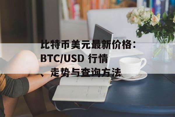 比特币美元最新价格：BTC/USD 行情、走势与查询方法