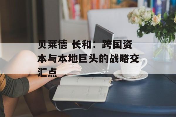贝莱德 长和：跨国资本与本地巨头的战略交汇点